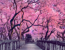 Carica l'immagine nel visualizzatore di Gallery, Pareo lino Ciliegi